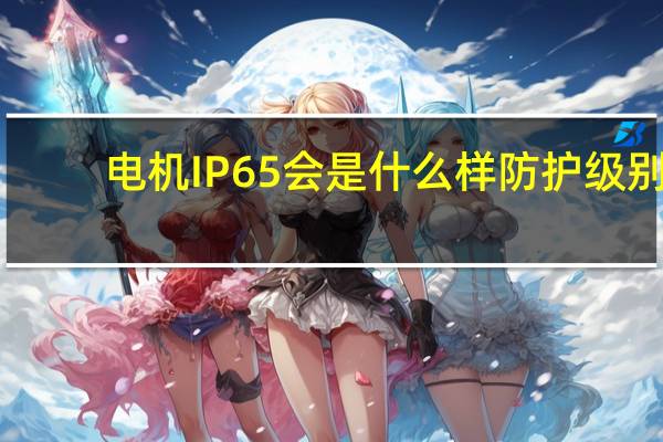 电机IP65会是什么样防护级别