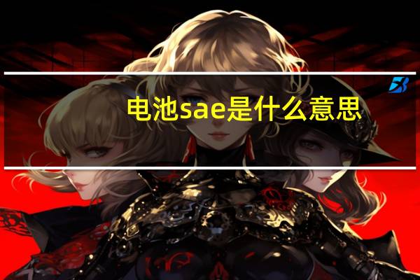 电池sae是什么意思