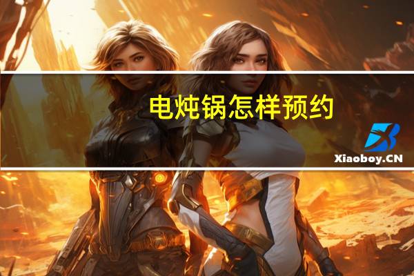 电炖锅怎样预约