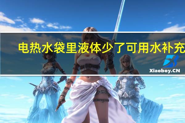 电热水袋里液体少了可用水补充吗