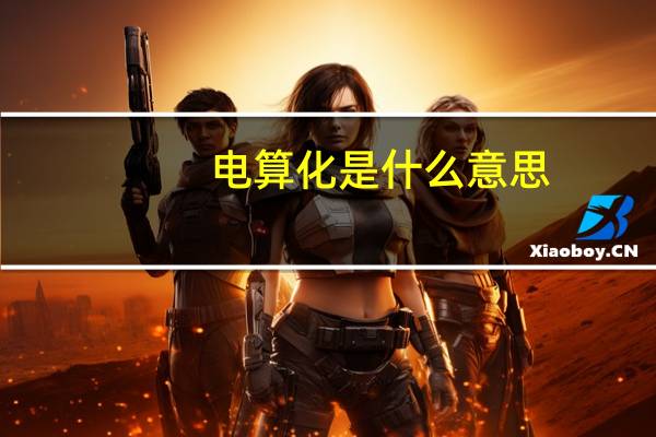电算化是什么意思