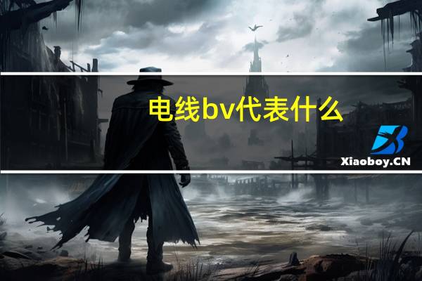 电线bv代表什么