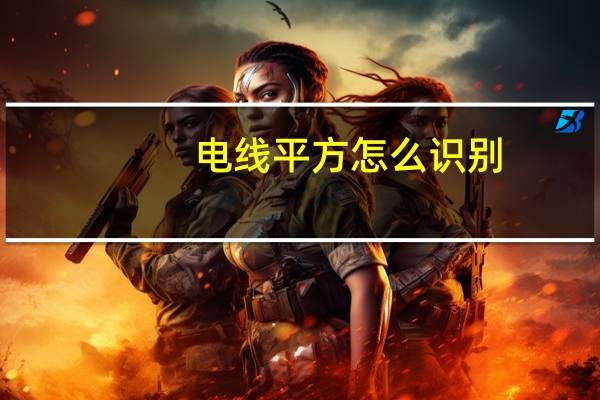 电线平方怎么识别
