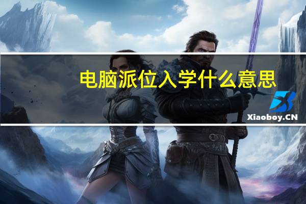 电脑派位入学什么意思