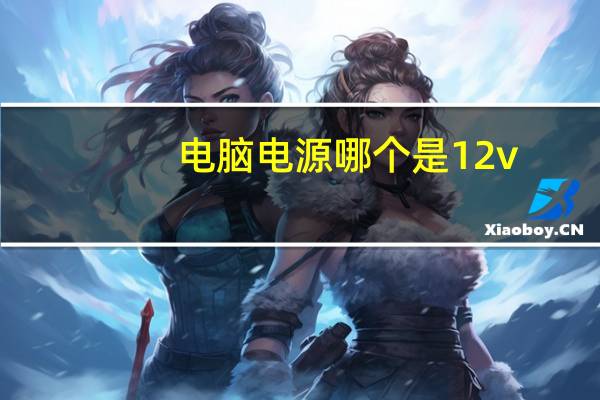 电脑电源哪个是12v
