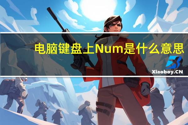电脑键盘上Num是什么意思
