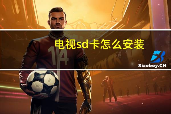 电视sd卡怎么安装