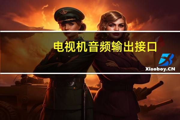 电视机音频输出接口