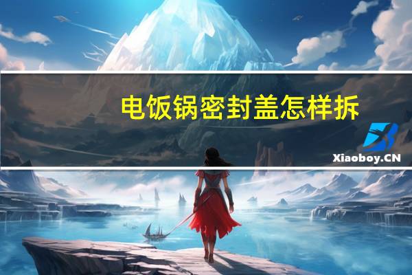 电饭锅密封盖怎样拆