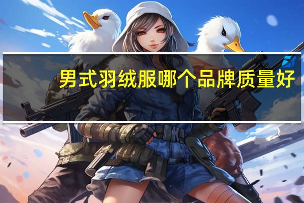 男式羽绒服哪个品牌质量好