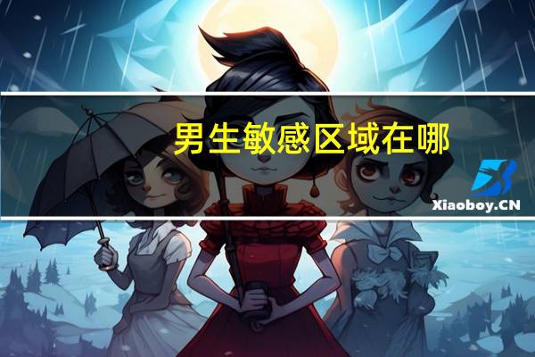 男生敏感区域在哪