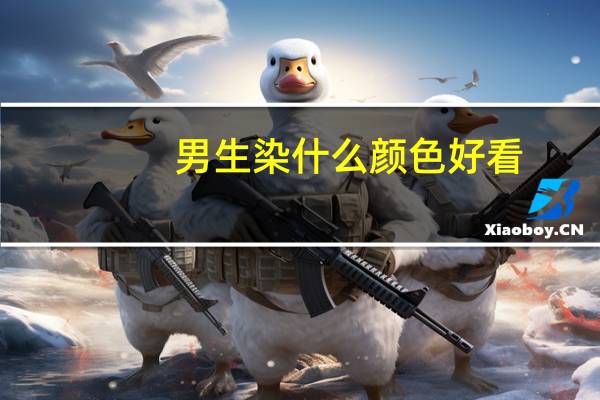 男生染什么颜色好看