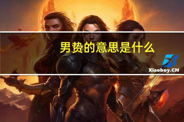 男贽的意思是什么