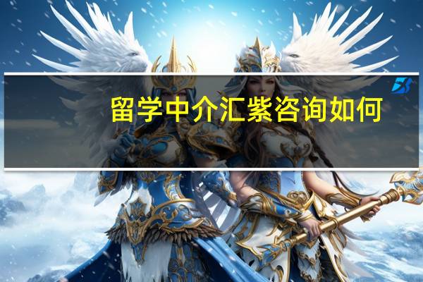 留学中介汇紫咨询如何
