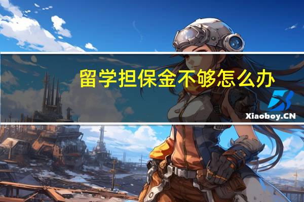 留学担保金不够怎么办