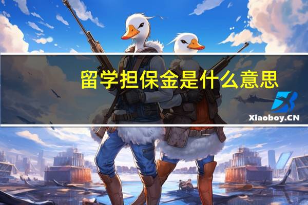 留学担保金是什么意思