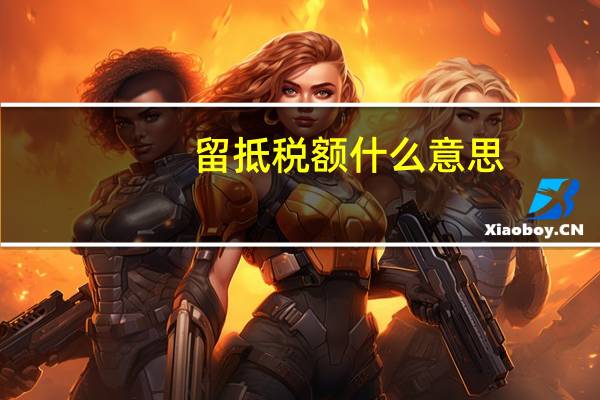 留抵税额什么意思