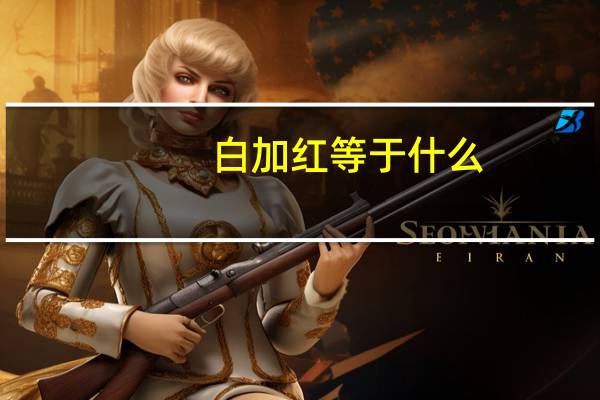 白加红等于什么