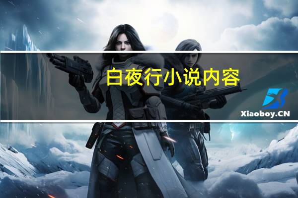 白夜行小说内容