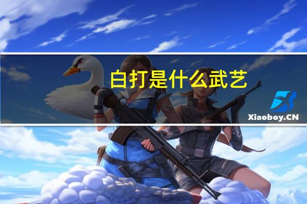 白打是什么武艺