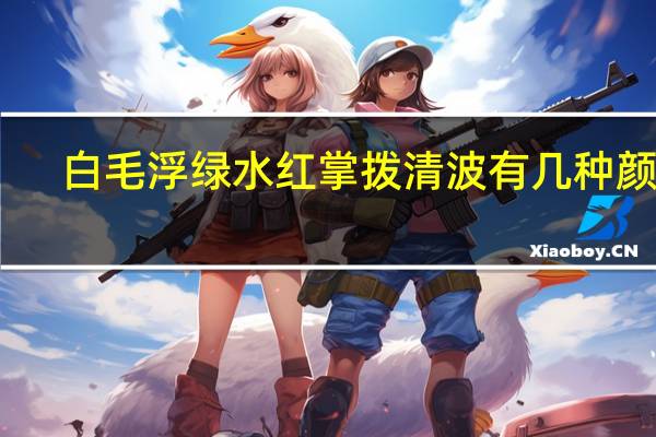 白毛浮绿水红掌拨清波有几种颜色