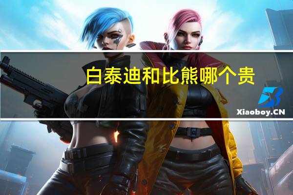 白泰迪和比熊哪个贵