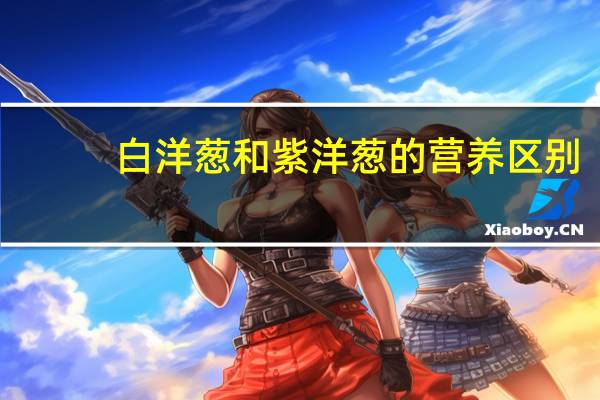 白洋葱和紫洋葱的营养区别