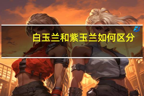 白玉兰和紫玉兰如何区分