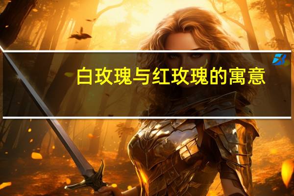 白玫瑰与红玫瑰的寓意