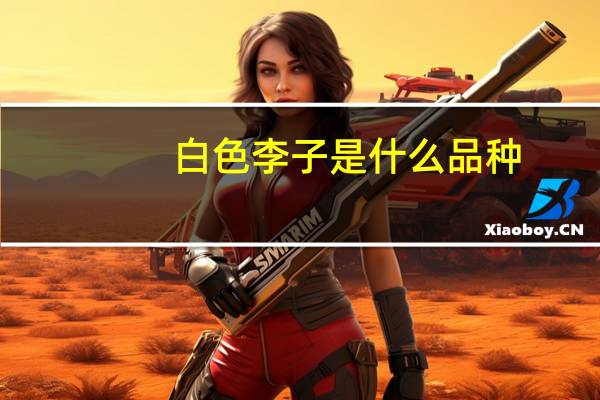 白色李子是什么品种