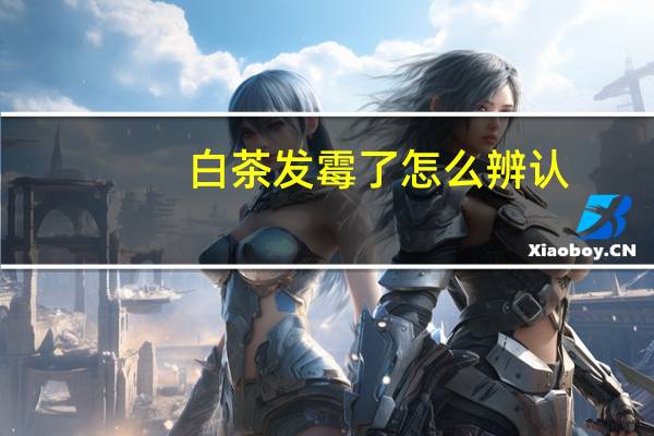 白茶发霉了怎么辨认