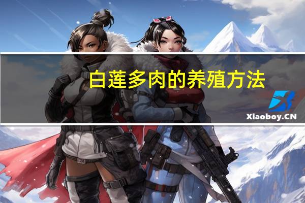 白莲多肉的养殖方法