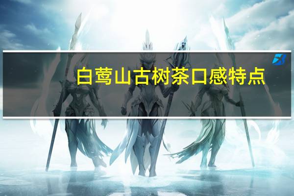 白莺山古树茶口感特点