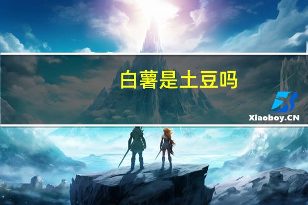 白薯是土豆吗