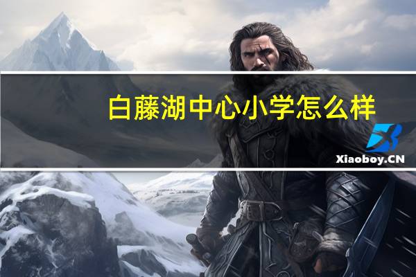 白藤湖中心小学怎么样
