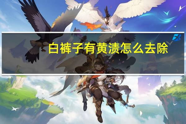 白裤子有黄渍怎么去除