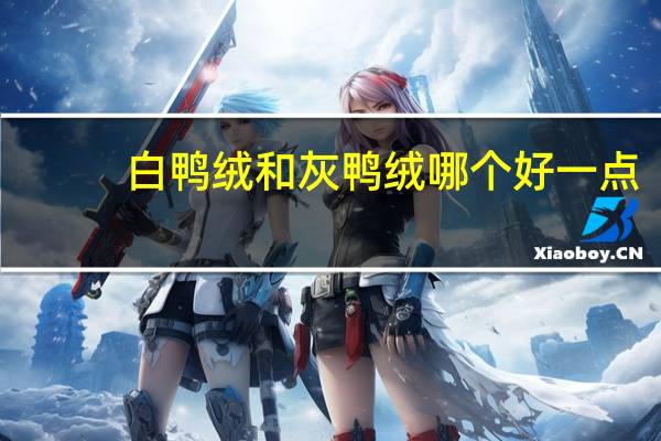 白鸭绒和灰鸭绒哪个好一点