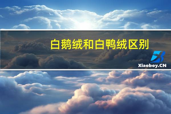 白鹅绒和白鸭绒区别