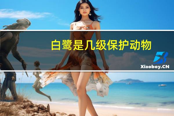 白鹭是几级保护动物