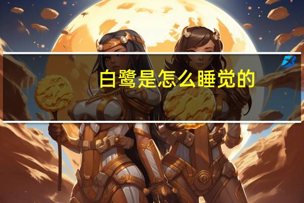 白鹭是怎么睡觉的