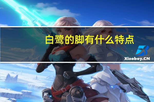 白鹭的脚有什么特点