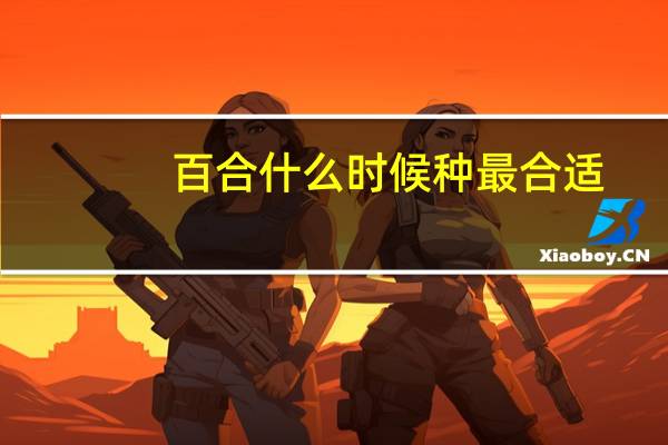 百合什么时候种最合适