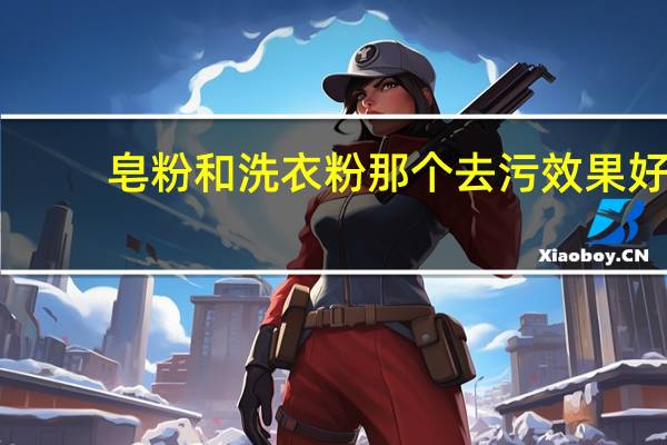 皂粉和洗衣粉那个去污效果好