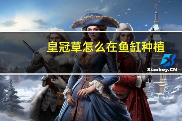 皇冠草怎么在鱼缸种植