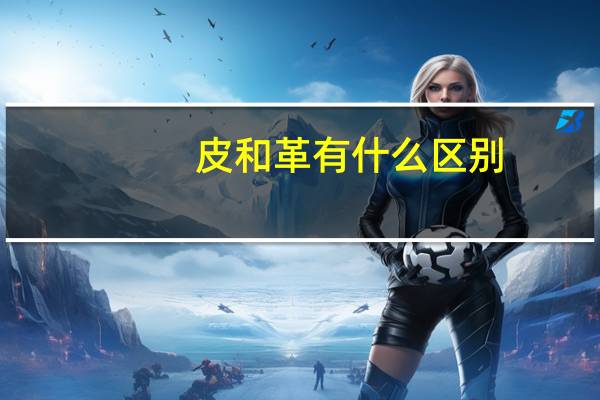 皮和革有什么区别