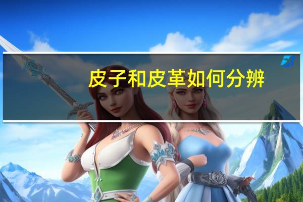 皮子和皮革如何分辨