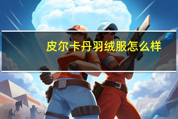 皮尔卡丹羽绒服怎么样