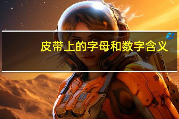 皮带上的字母和数字含义