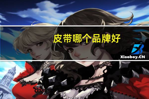 皮带哪个品牌好