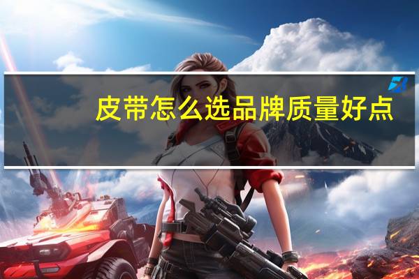 皮带怎么选品牌质量好点